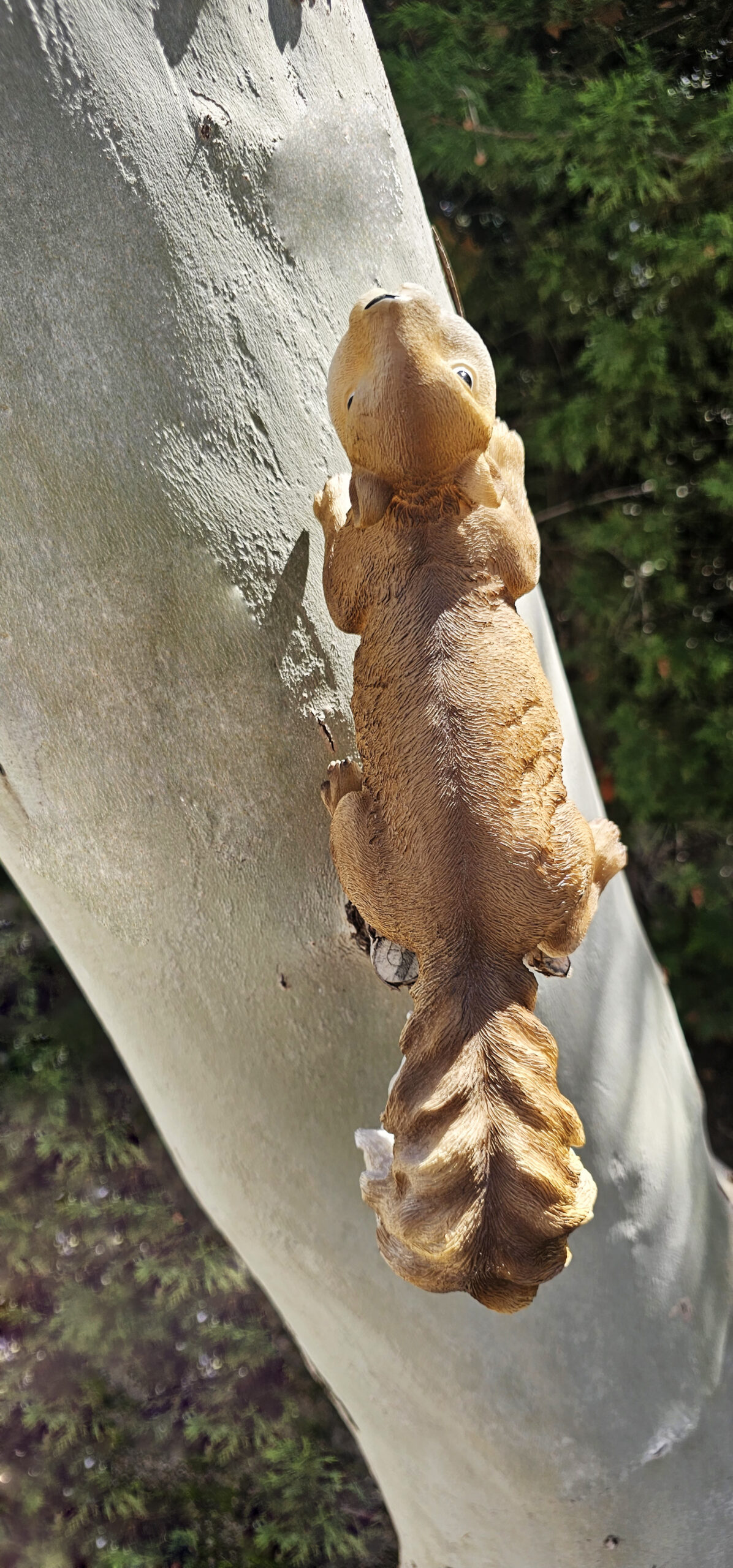 Ardilla de Resina - Imagen 3