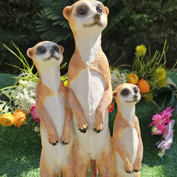 Familia de Suricato