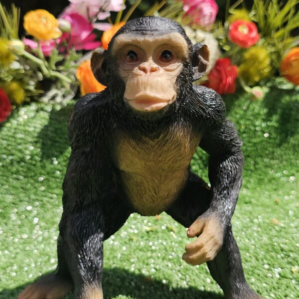 Chimpancé adulto