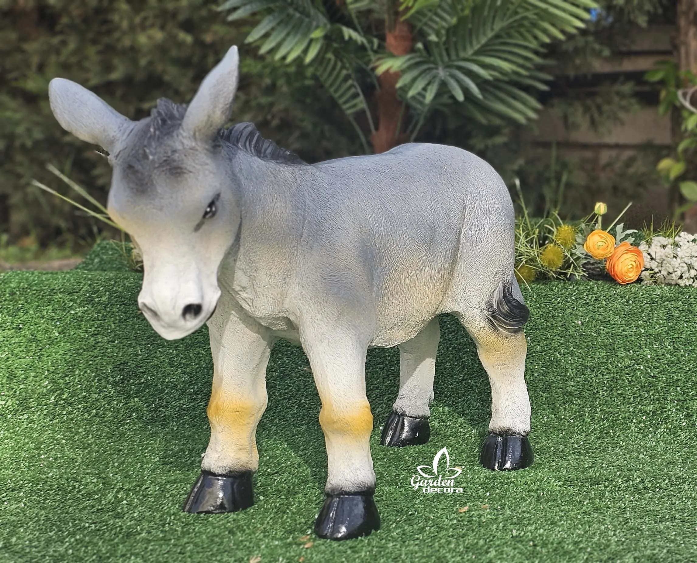 Burro Gris - Imagen 2