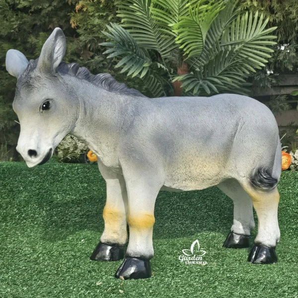 Burro Gris