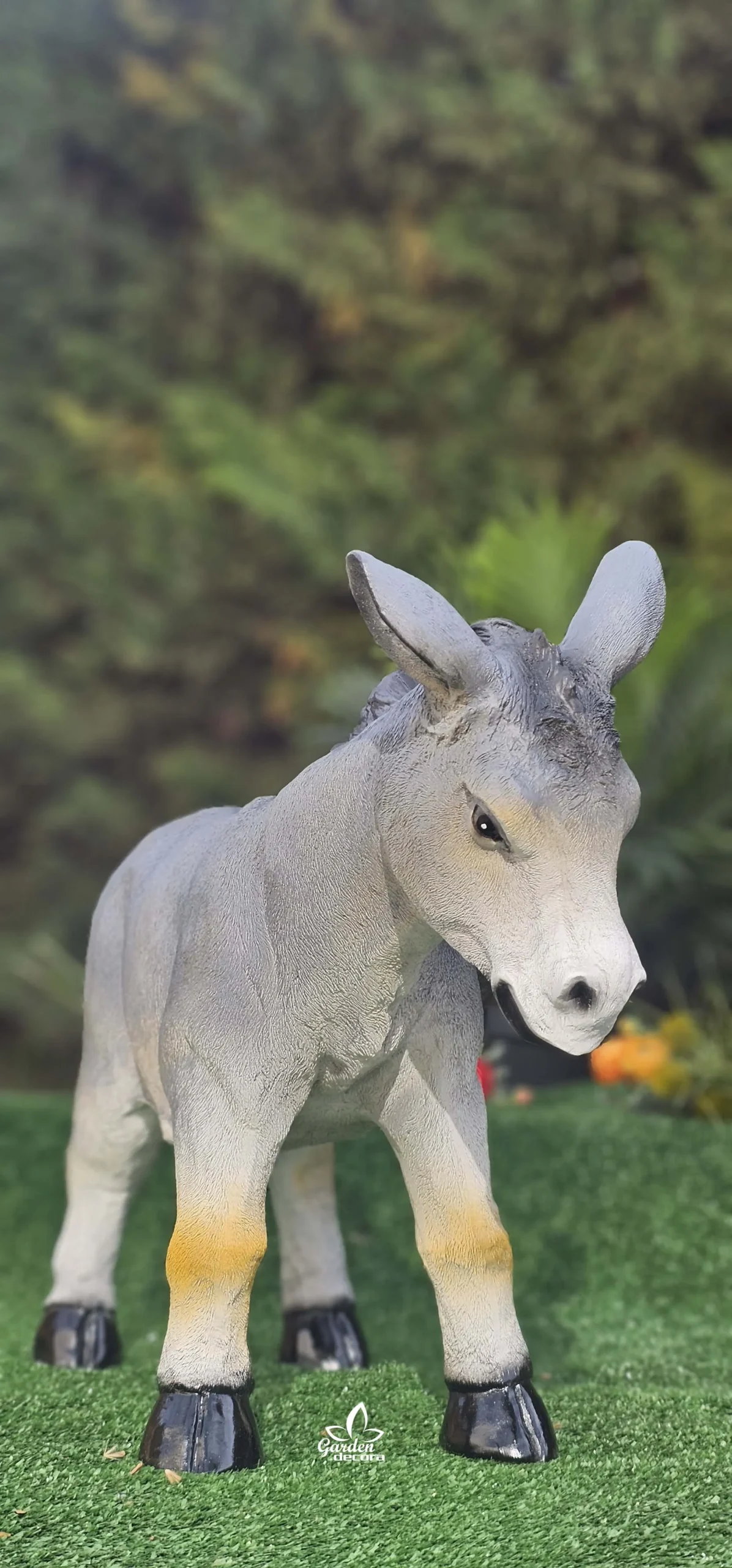 Burro Gris - Imagen 3