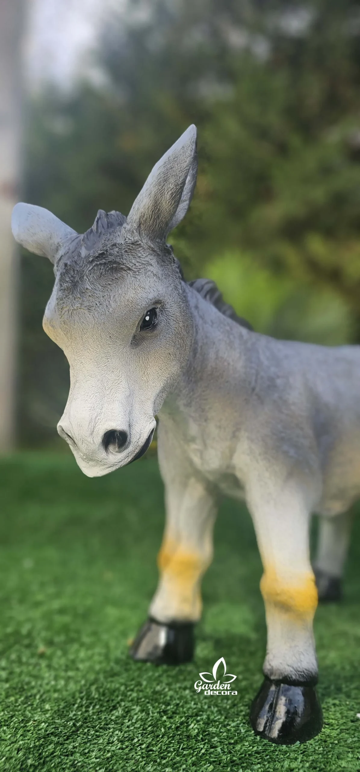 Burro Gris - Imagen 5