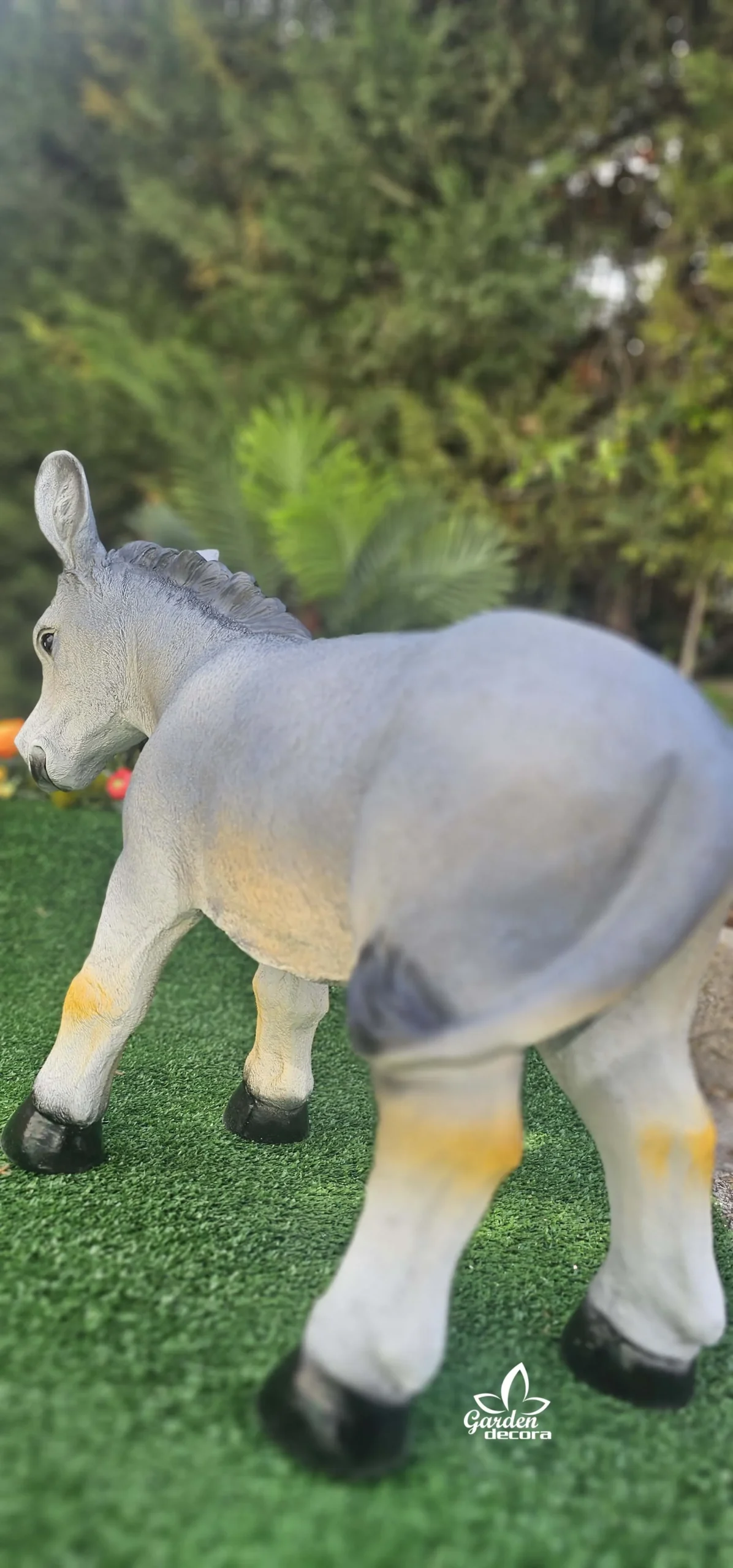 Burro Gris - Imagen 4