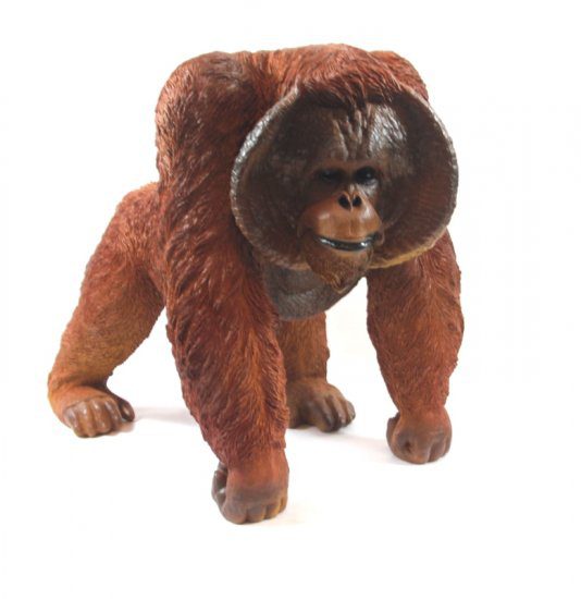 Orangután