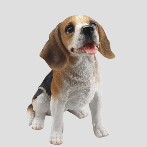 Perro Beagle sentado