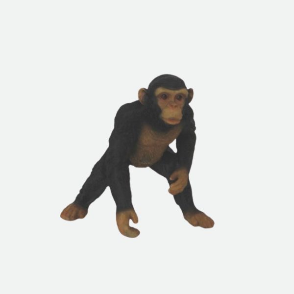 Chimpancé pequeño