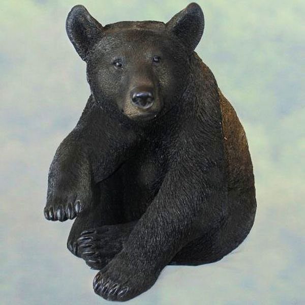 Oso pardo grande - Imagen 3