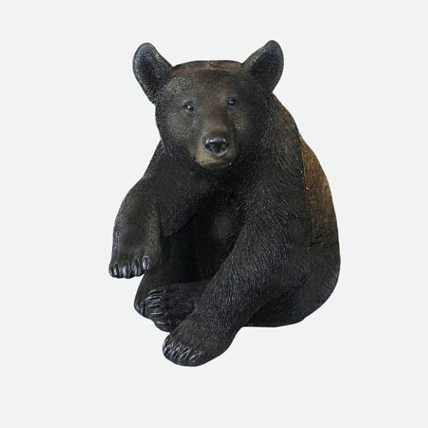 Oso pardo grande
