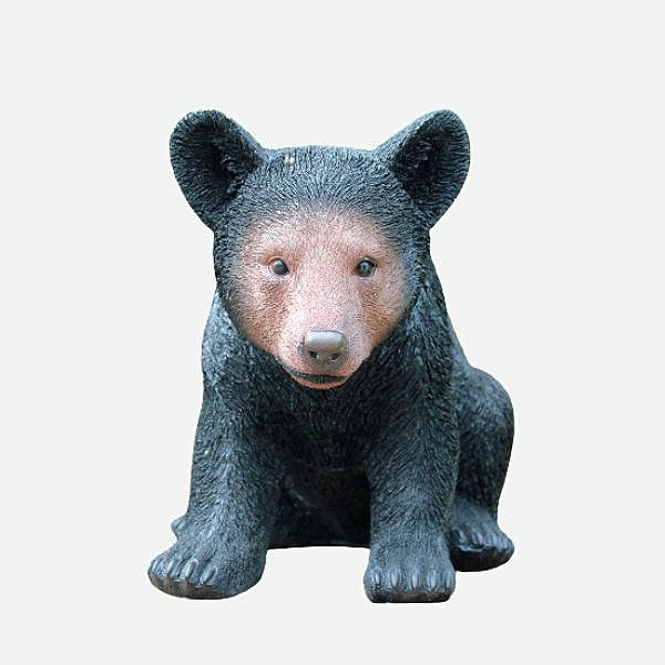 Oso Pardo sentado