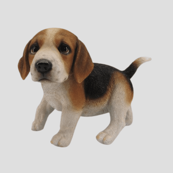Amigable Beagle de pie