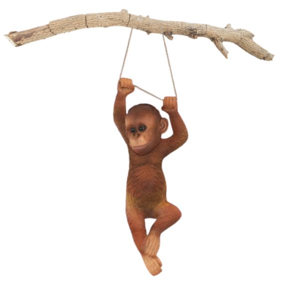 Orangután colgando - Imagen 4
