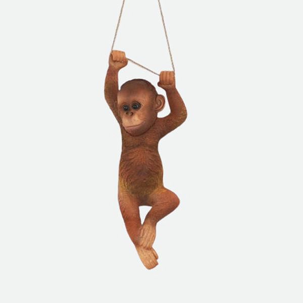 Orangután colgando