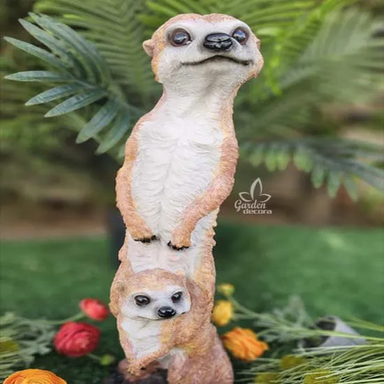 Suricata con cachorro