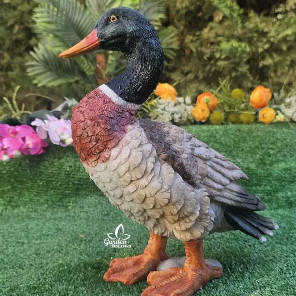 Pato de Resina